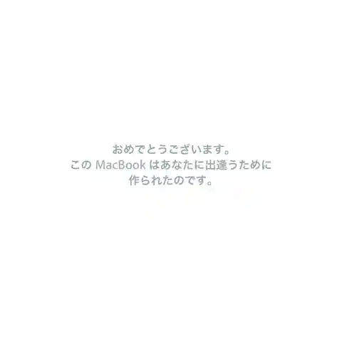 appleアップルMacBook (13-inch, Early 2008)